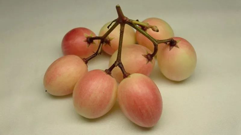 Holly Landvatter tweet media