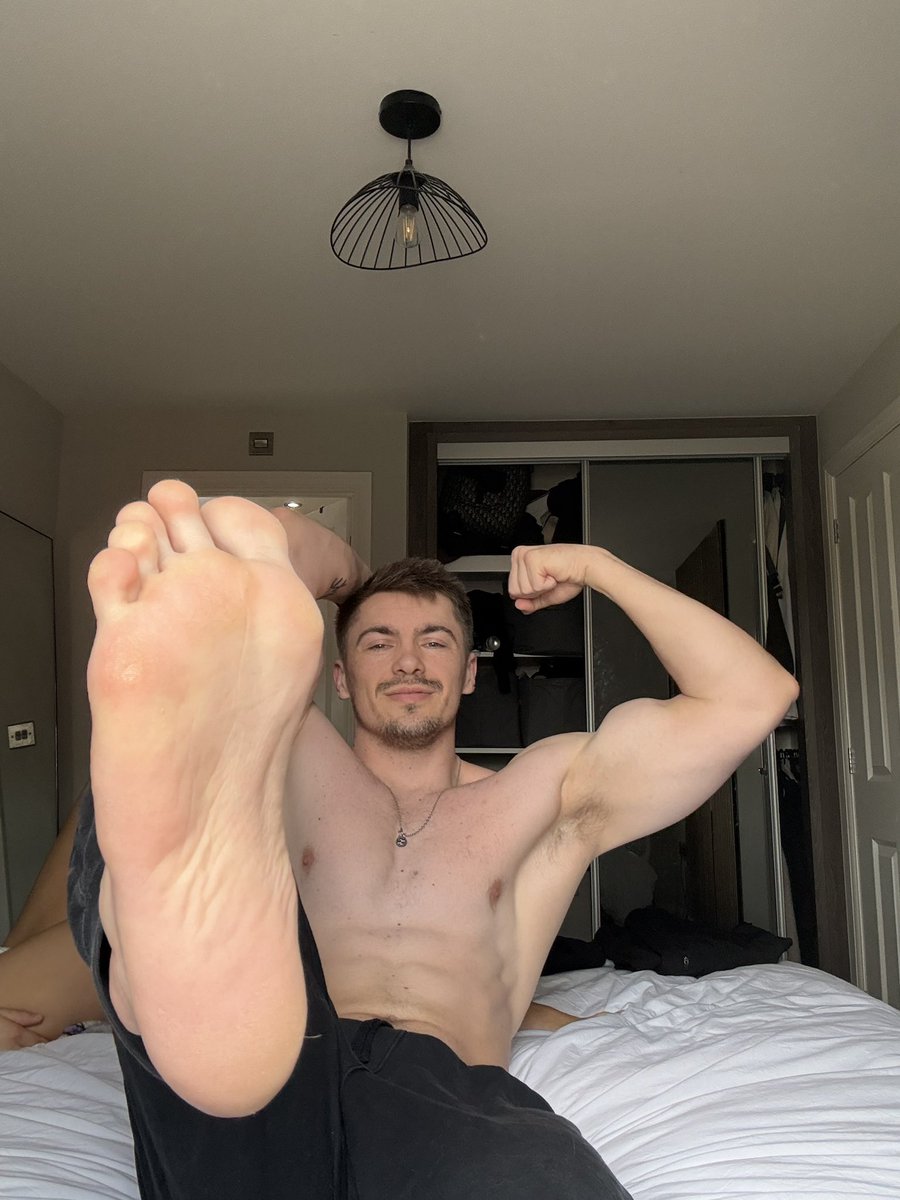 Alpha Alex 🐺 tweet media