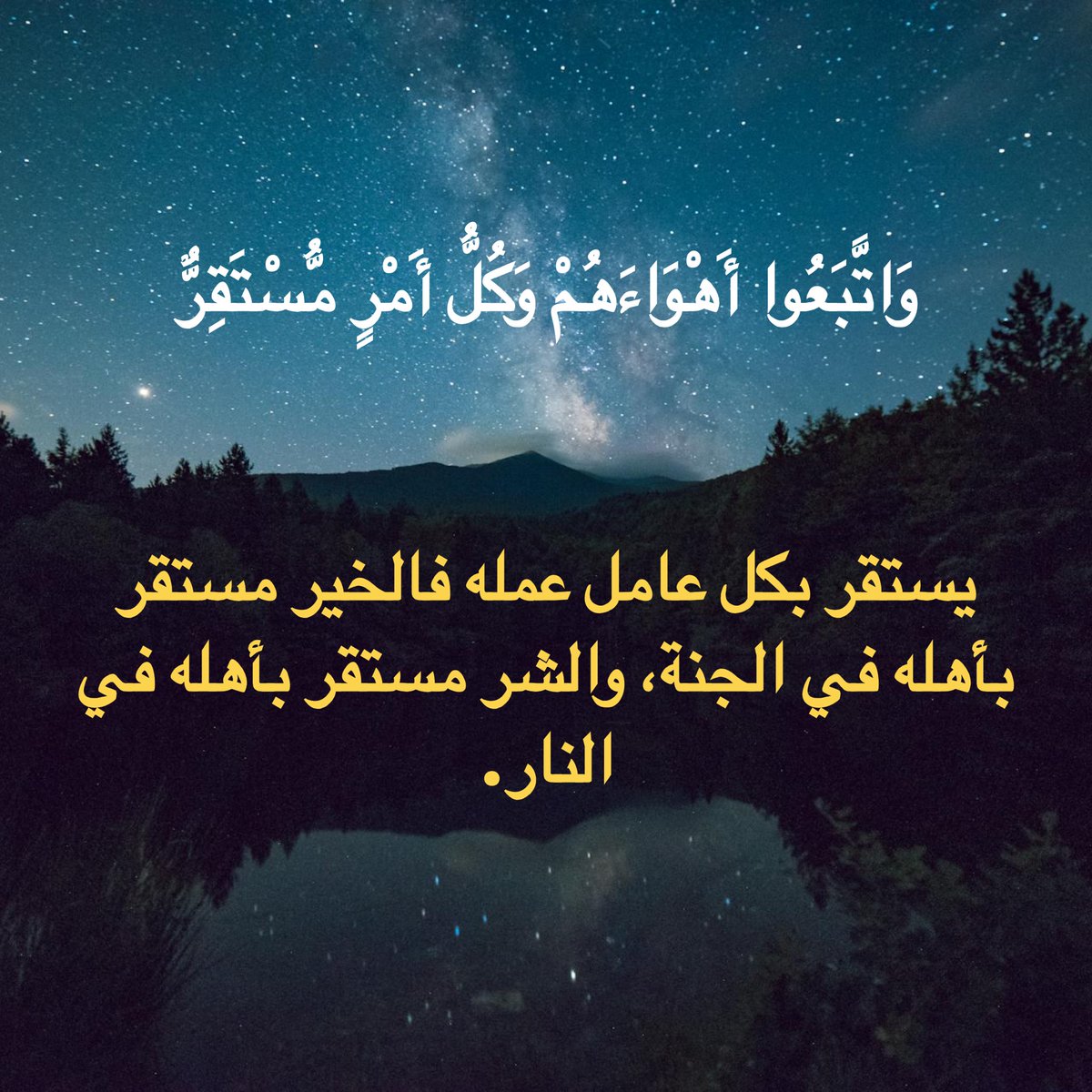 فائدة يومية tweet media