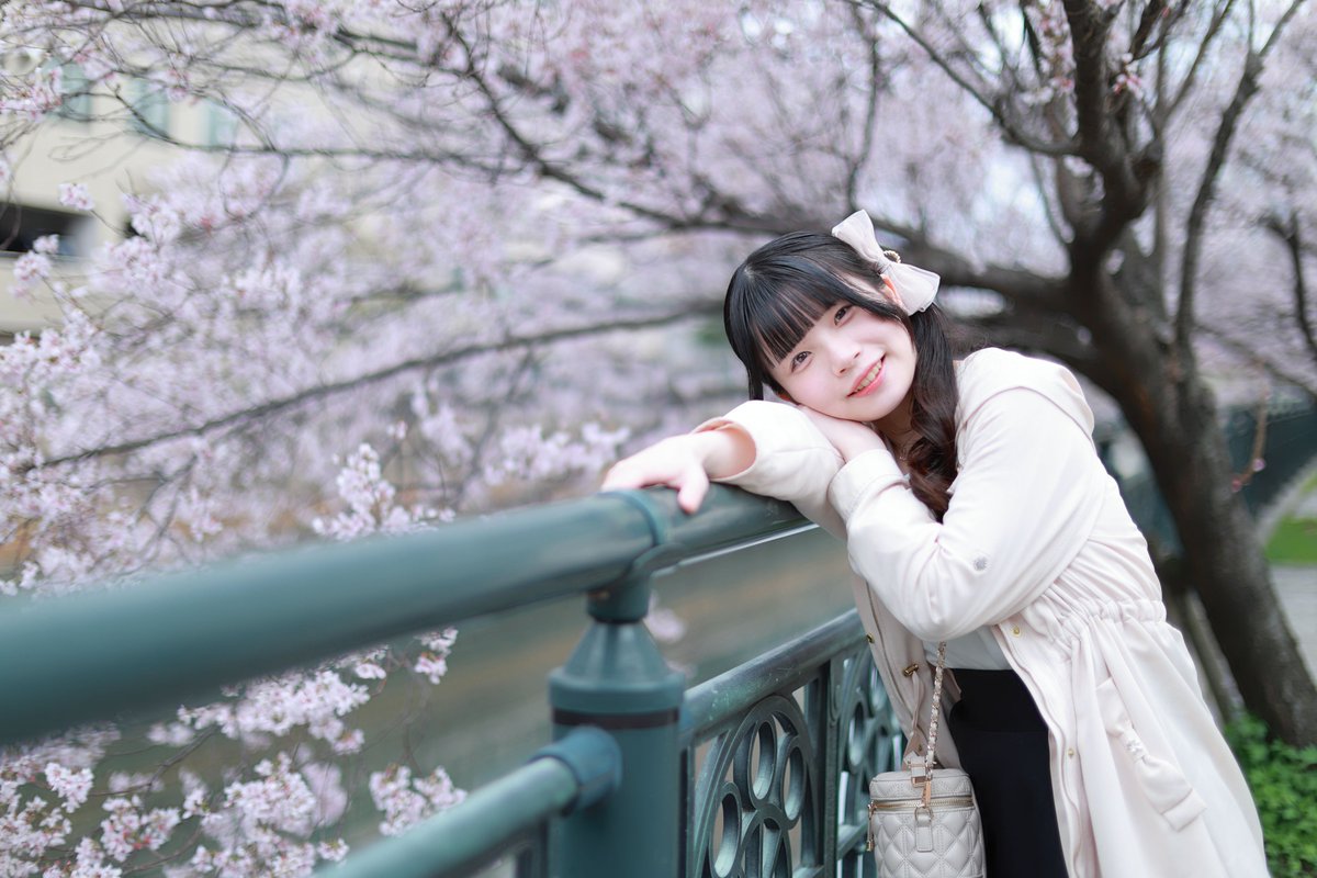 ねこめし (めっしー) tweet media