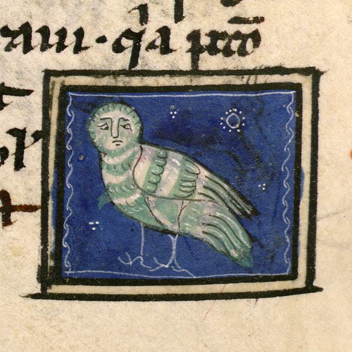 Vatanabeus tweet media