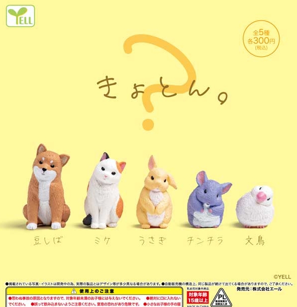 がちゃぽんぽん tweet media