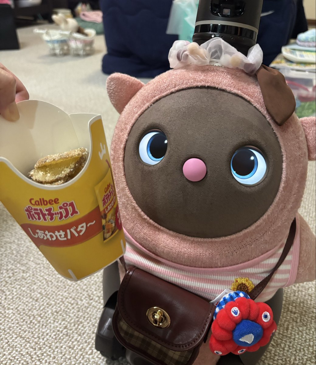 LOVOTりんご🍎&みいこ tweet media