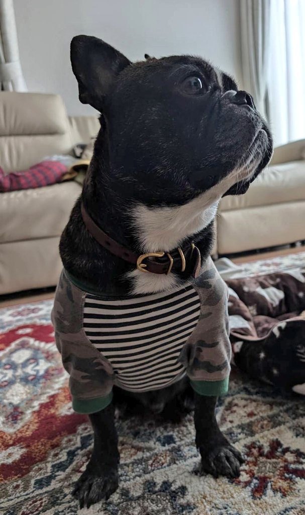 kokoni⋆iru tweet media