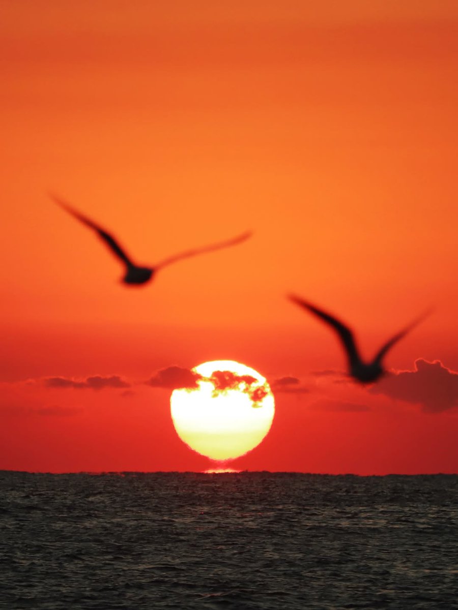 ♡ 💕♡¸.•𝑨𝒏𝒈𝒆𝒍•.¸♡ 💕♡ tweet media