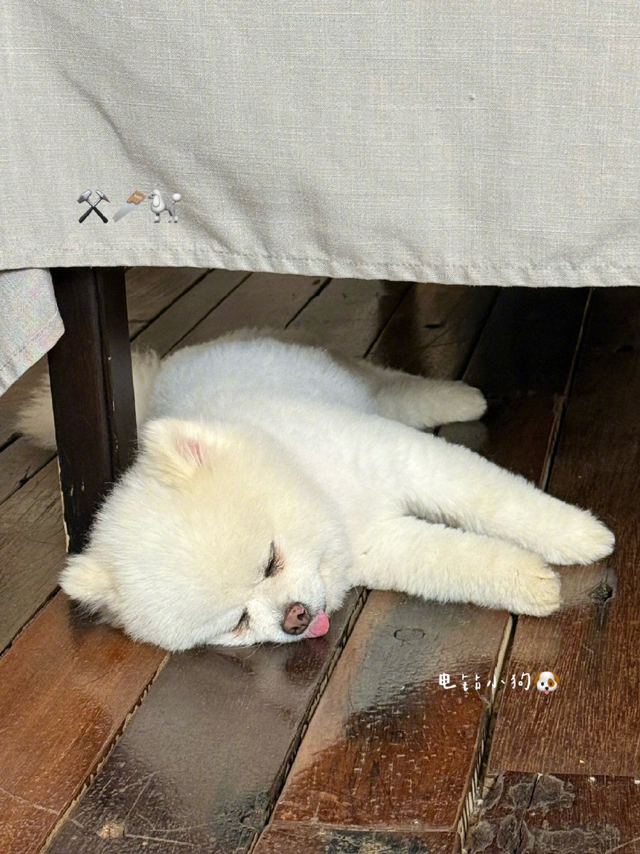 Aung Thu Phyo tweet media