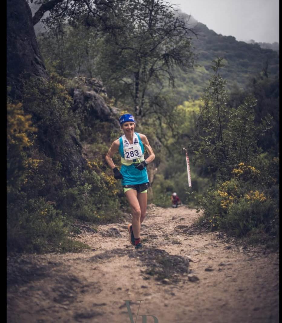 Excmo. Ayuntamiento de Casariche (Sevilla) tweet media