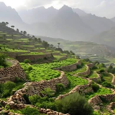 Difference - اختلاف 💡👌🏻 tweet media