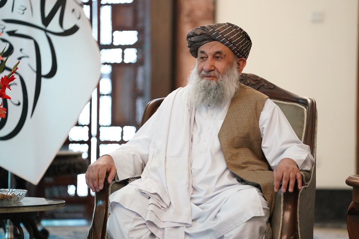 حامد أنصار tweet media