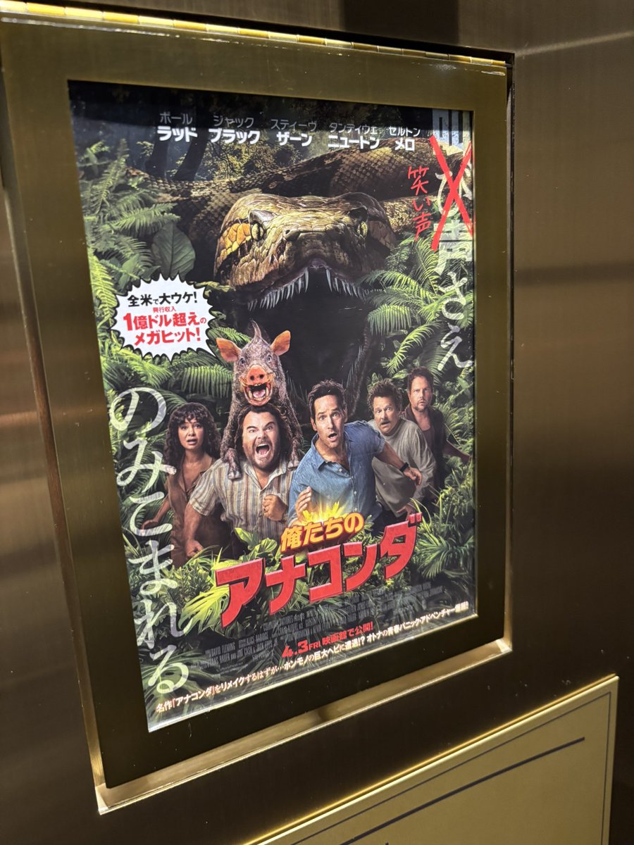 ポウロス tweet media