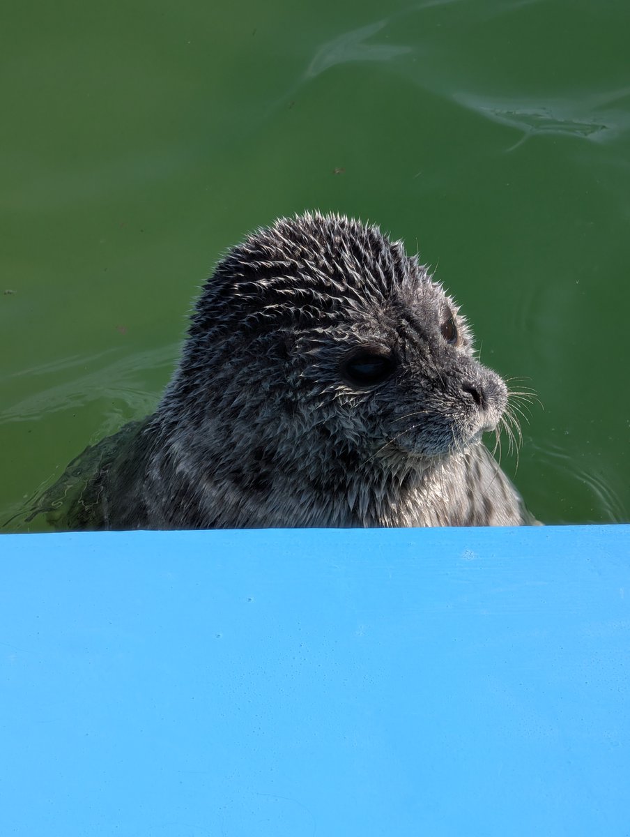 オホーツク･ガリンコタワー株式会社 tweet media