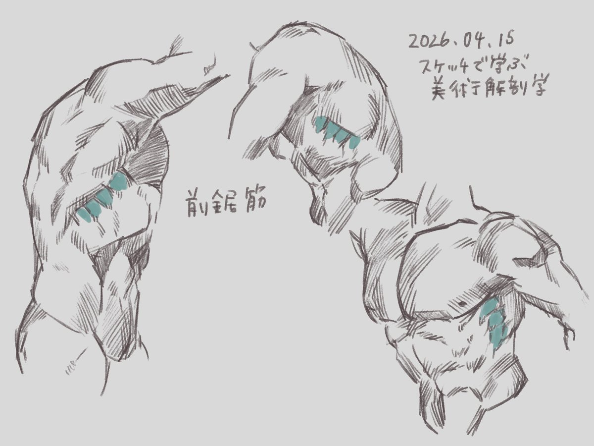 ほうじ茶 tweet media