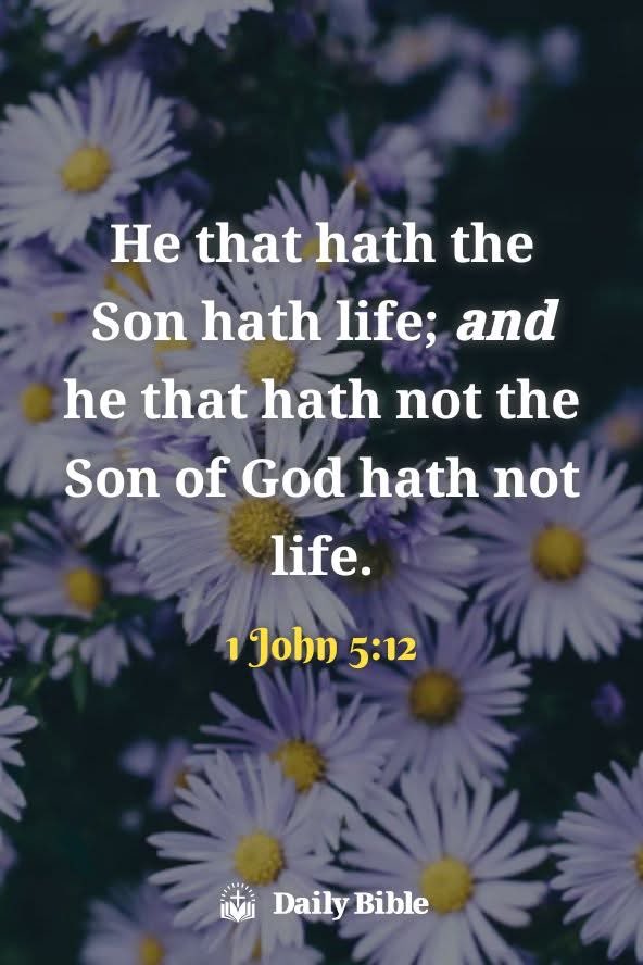 Alan (@elaine_alan) on Twitter photo 