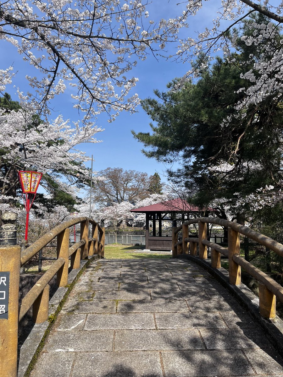 mmmftnu's tweet photo. 桜　🌸
#桜 https://t.co/C1ils3tUo1