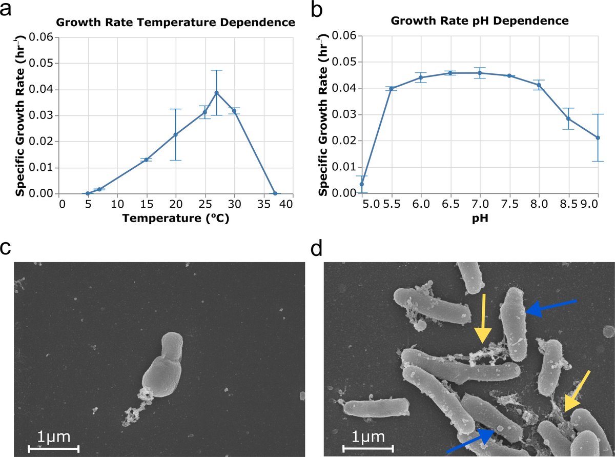 protasov_evgeni's tweet photo. Comparative physiological and genomic characterization of a novel Nitrobacter vulgaris strain from a nitrate-contaminated subsurface
#microbiology #nitrate
@ASMicrobiology @AppEnvMicro 
https://t.co/rMPvGwZxkN https://t.co/rq3T3Zadhy