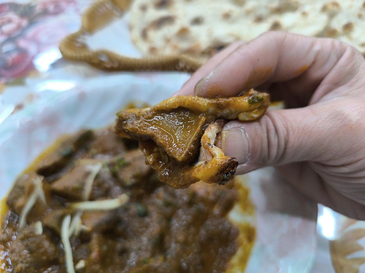 カレーが食べたい tweet media