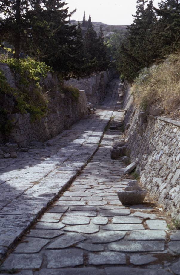 Homer Pavlos tweet media