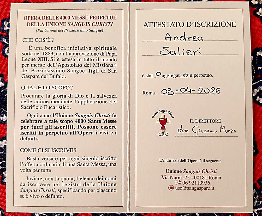 Paracleto4 tweet media