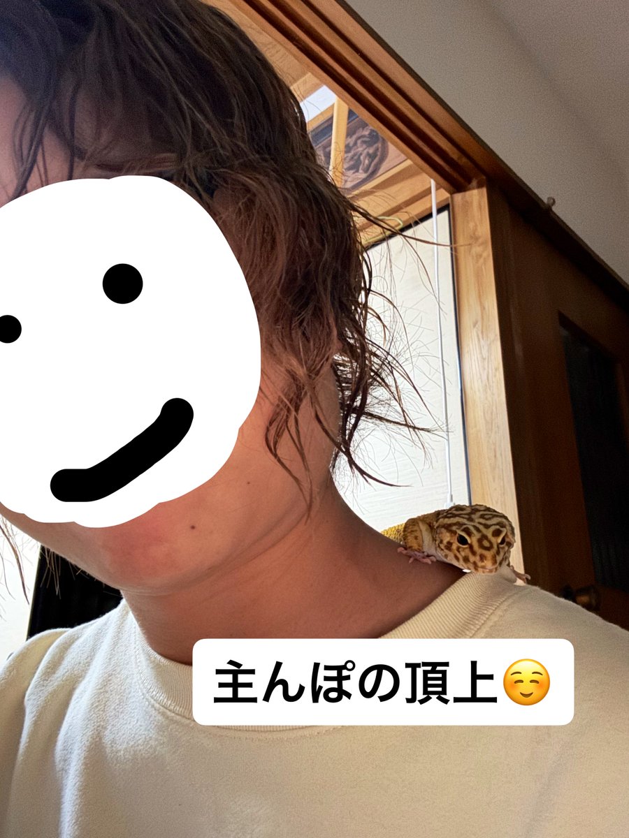 かず【ゆらちゃん垢𓆌】 tweet media