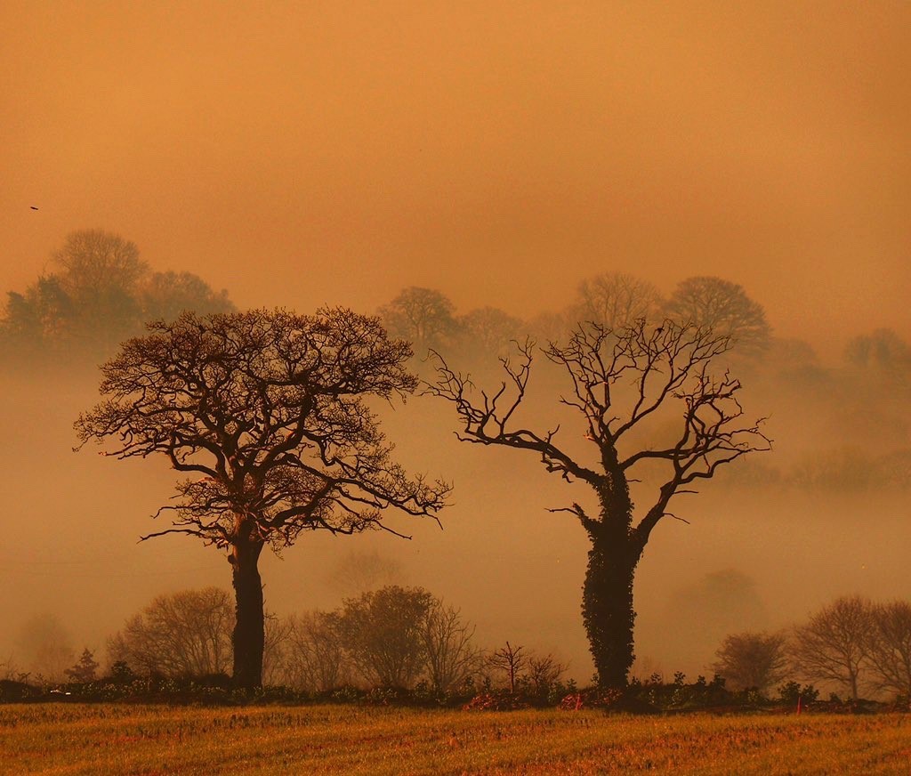 William Hulbert Photography tweet media