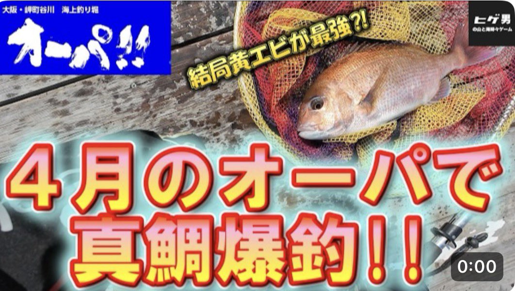 hige_men9's tweet photo. 【海上釣堀】4月のオーパ！！で真鯛爆釣！！オーパ！！のモーニングを堪能してきました☆ https://t.co/mTrihhKRsy @YouTubeより
YouTubeアップしました😊
もしよろしければご覧ください🙇‍♂️ https://t.co/mLr9FrNlr4