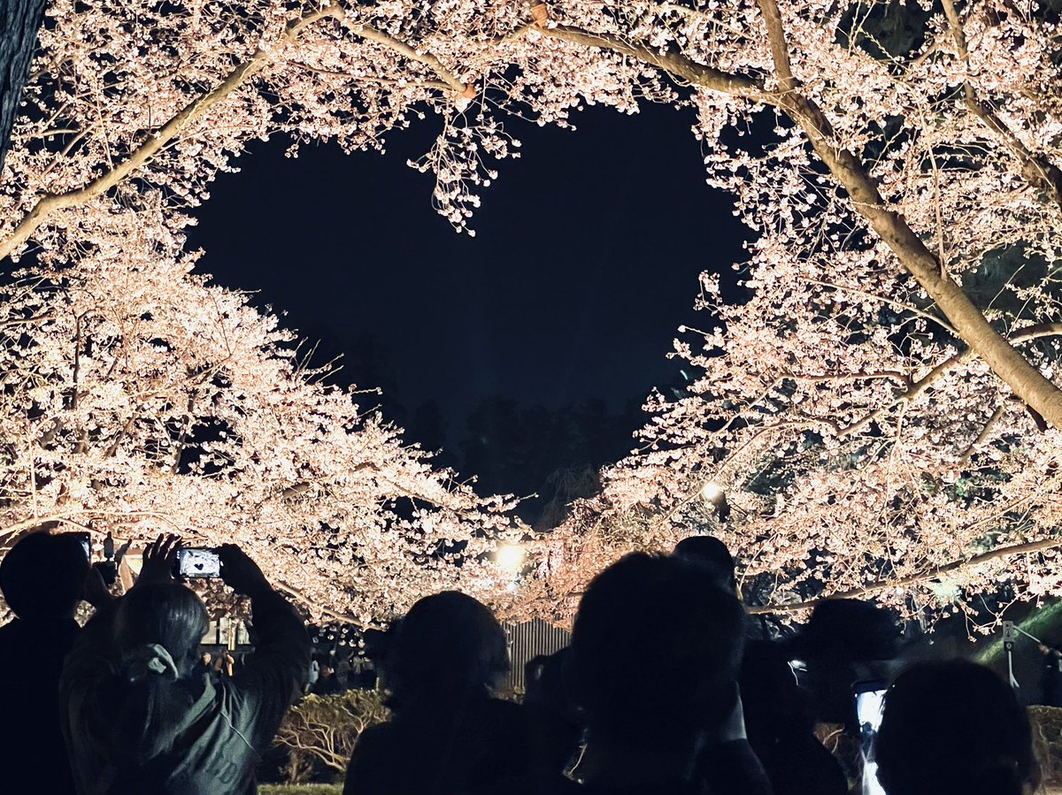 S23FS's tweet photo. さ���らのハートは夜見ればしっかり💕に見えますよ〜！
ことしはやや下がり気味の位置から見るとよりそれらしい形になると思います！ https://t.co/zaVXg8OHMR