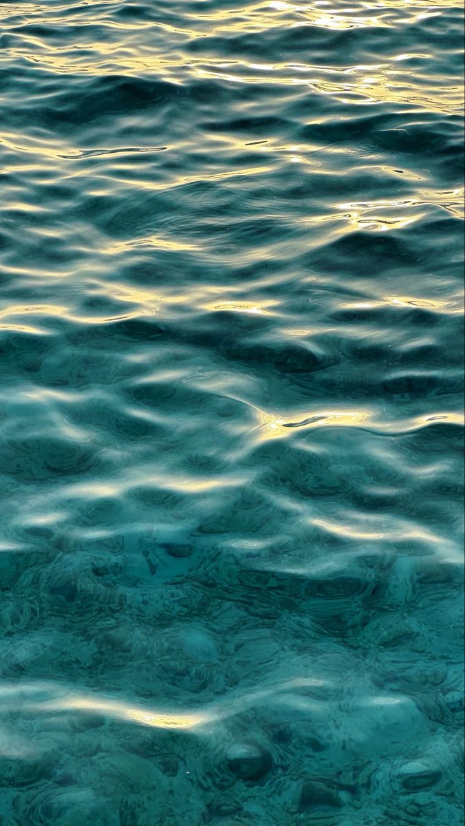 landspace tweet media