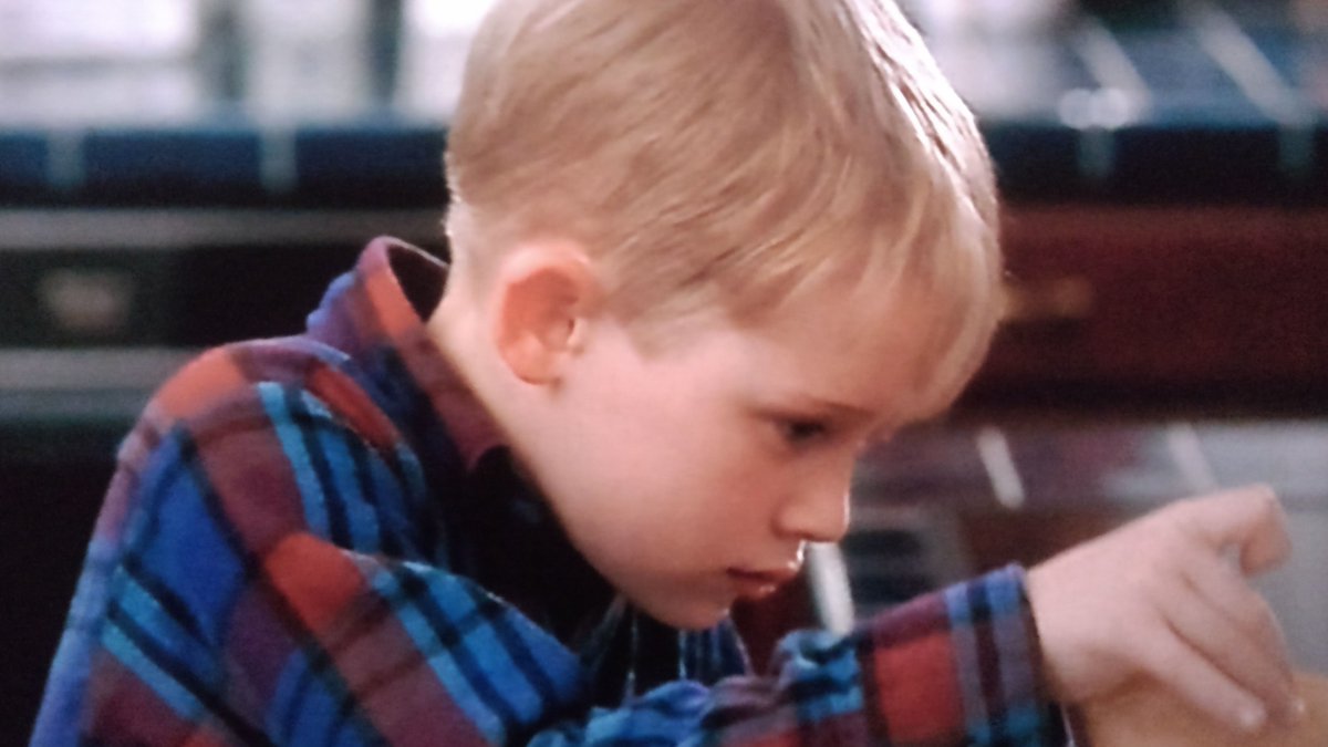 夜の鳥 tweet media