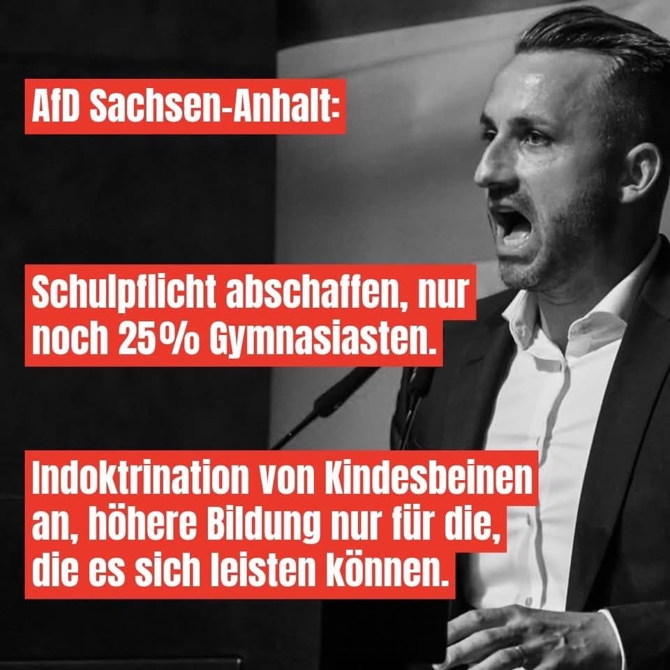 Lisa Lustig - ohne Frieden ist alles nichts tweet media