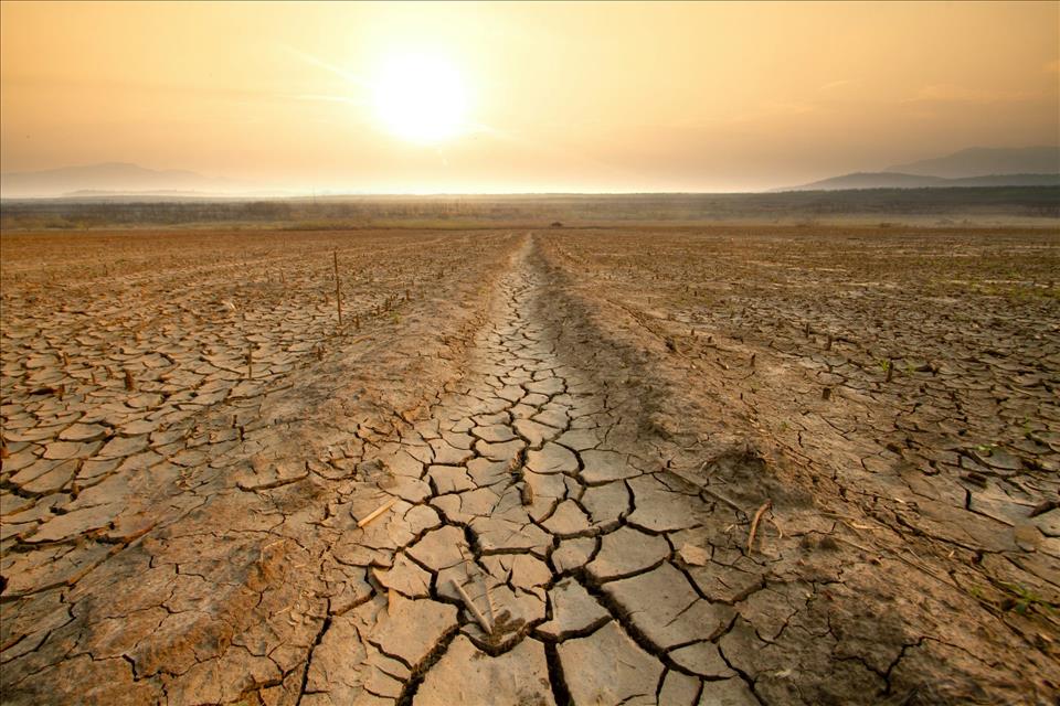MENAFN's tweet image. Drought Could Be Making Antibiotic Resistance Worse, Scientists Say #Drought #Making #Antibiotic #Resistance #Worse, #Scientists #Food #Flowers #Storm #Climate #Change #Earthquake dlvr.it/TS30d8