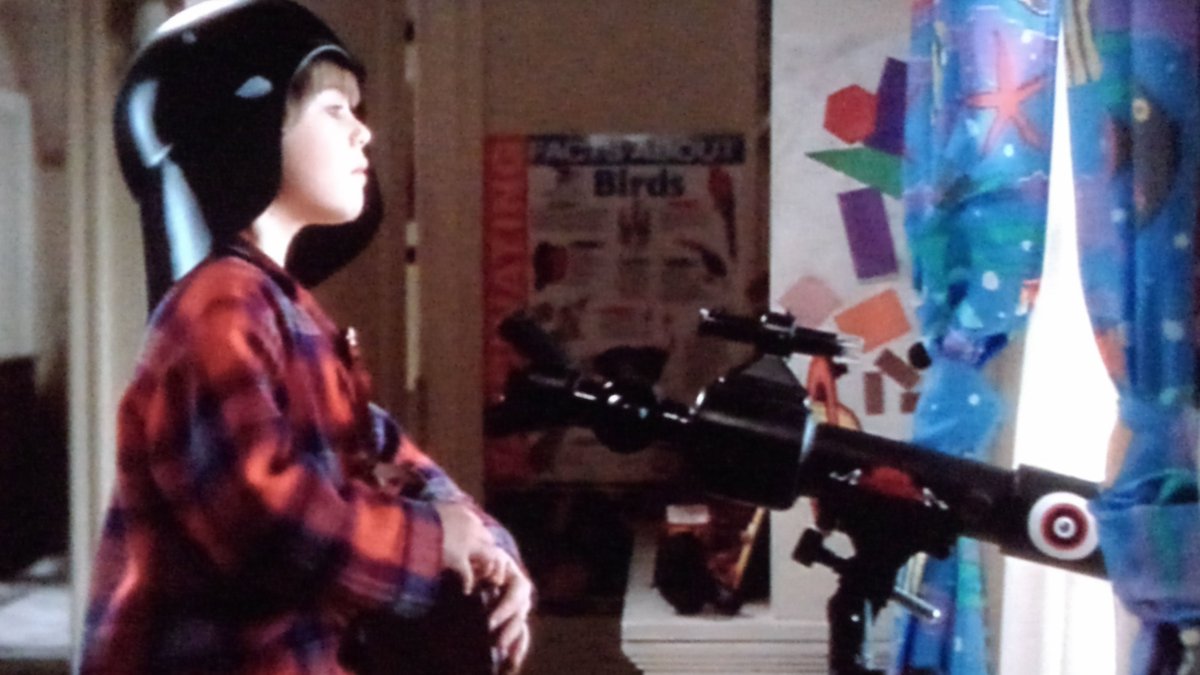 夜の鳥 tweet media