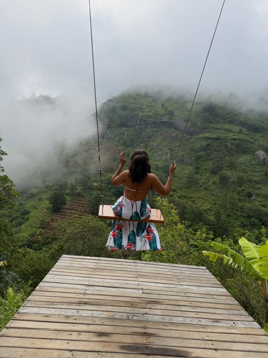 Safari Gateway Ltd tweet media