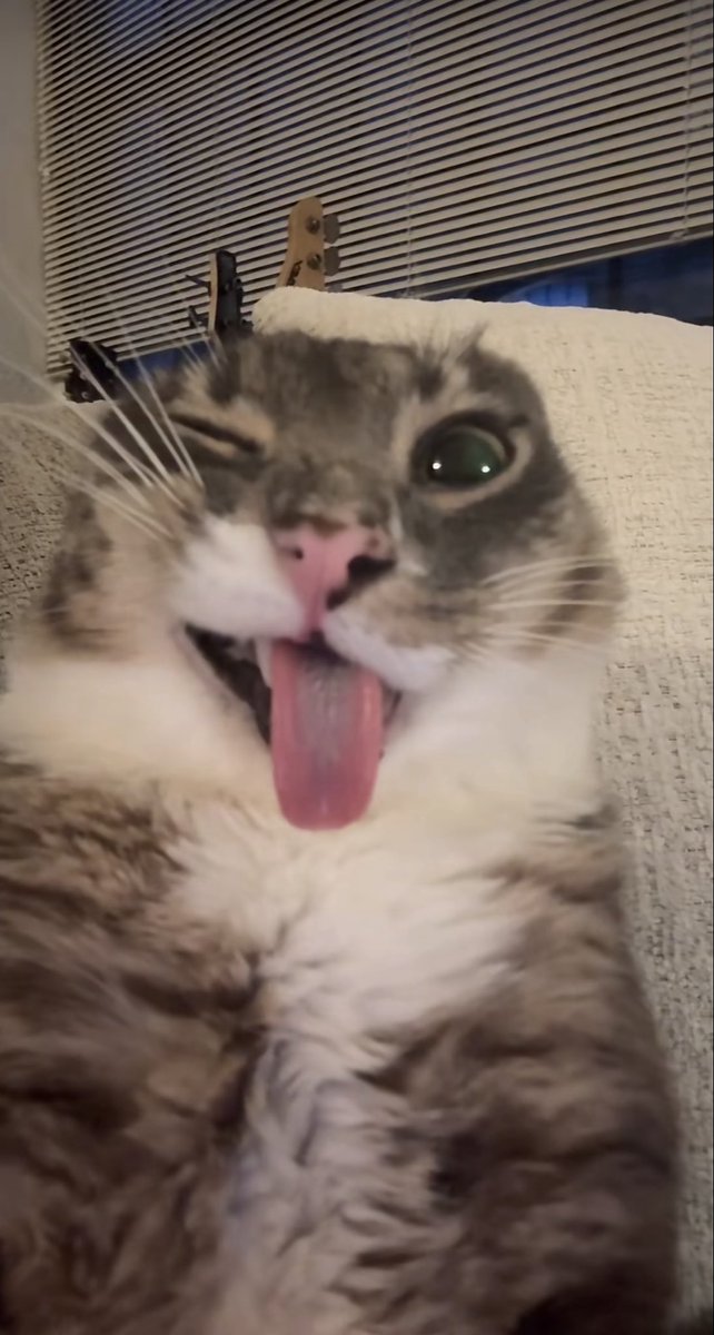 ComeBack tweet media