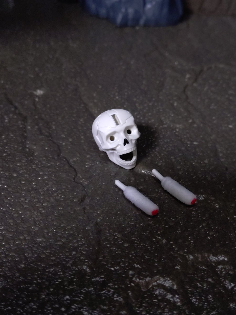 闇羽(スケブン用垢) tweet media