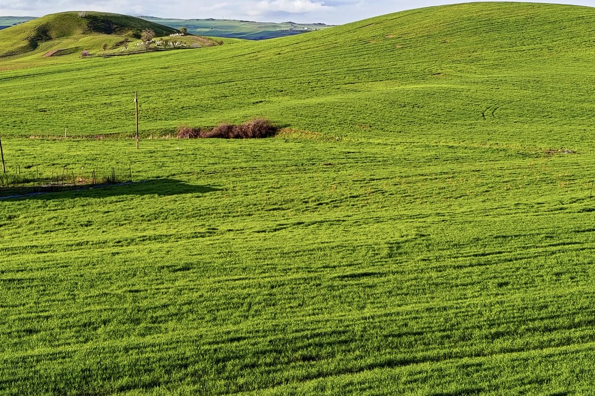 d. (@altndly) on Twitter photo 