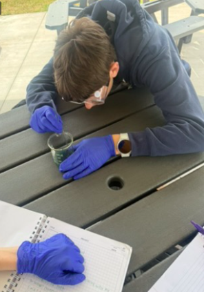 BrandonAcademy's tweet photo. High School students performed a limiting reagent lab, adding aluminum foil to a copper (II) chloride dihydrate aqueous solution.

#QualityEducation #BrandonAcademy https://t.co/r3MQ9VfqBM