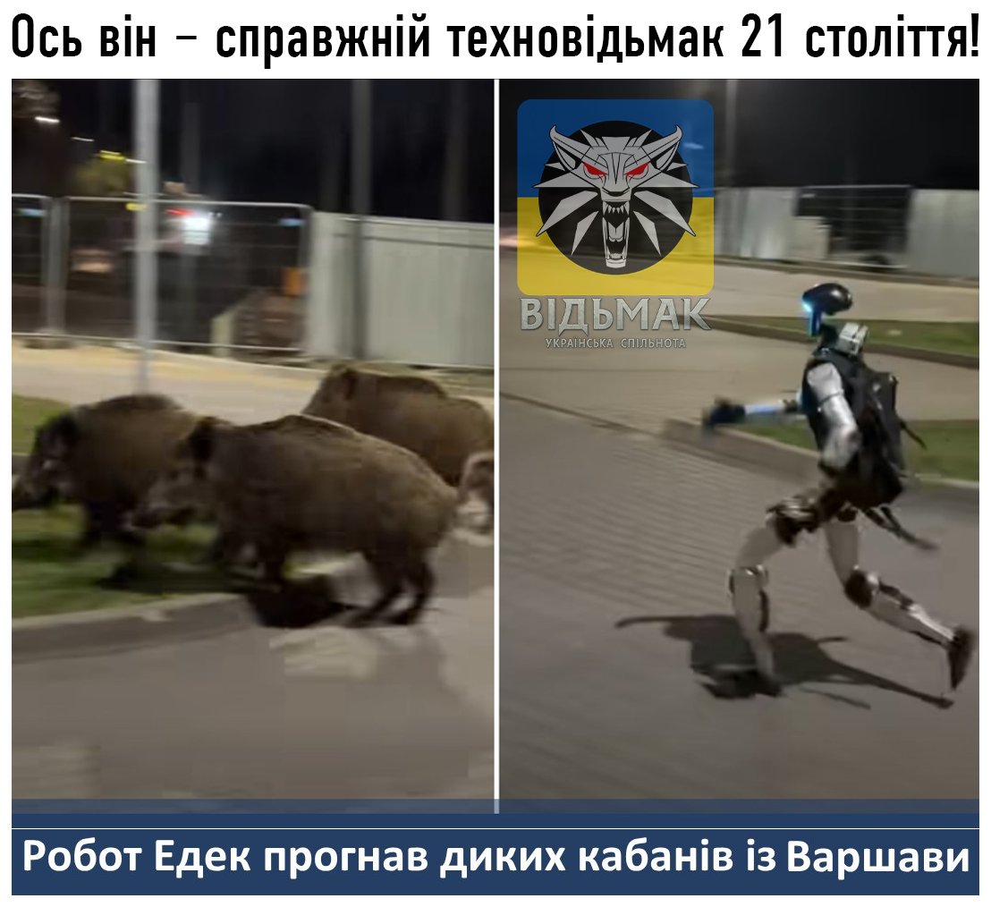 Відьмак (The Witcher)│Українська спільнота tweet media