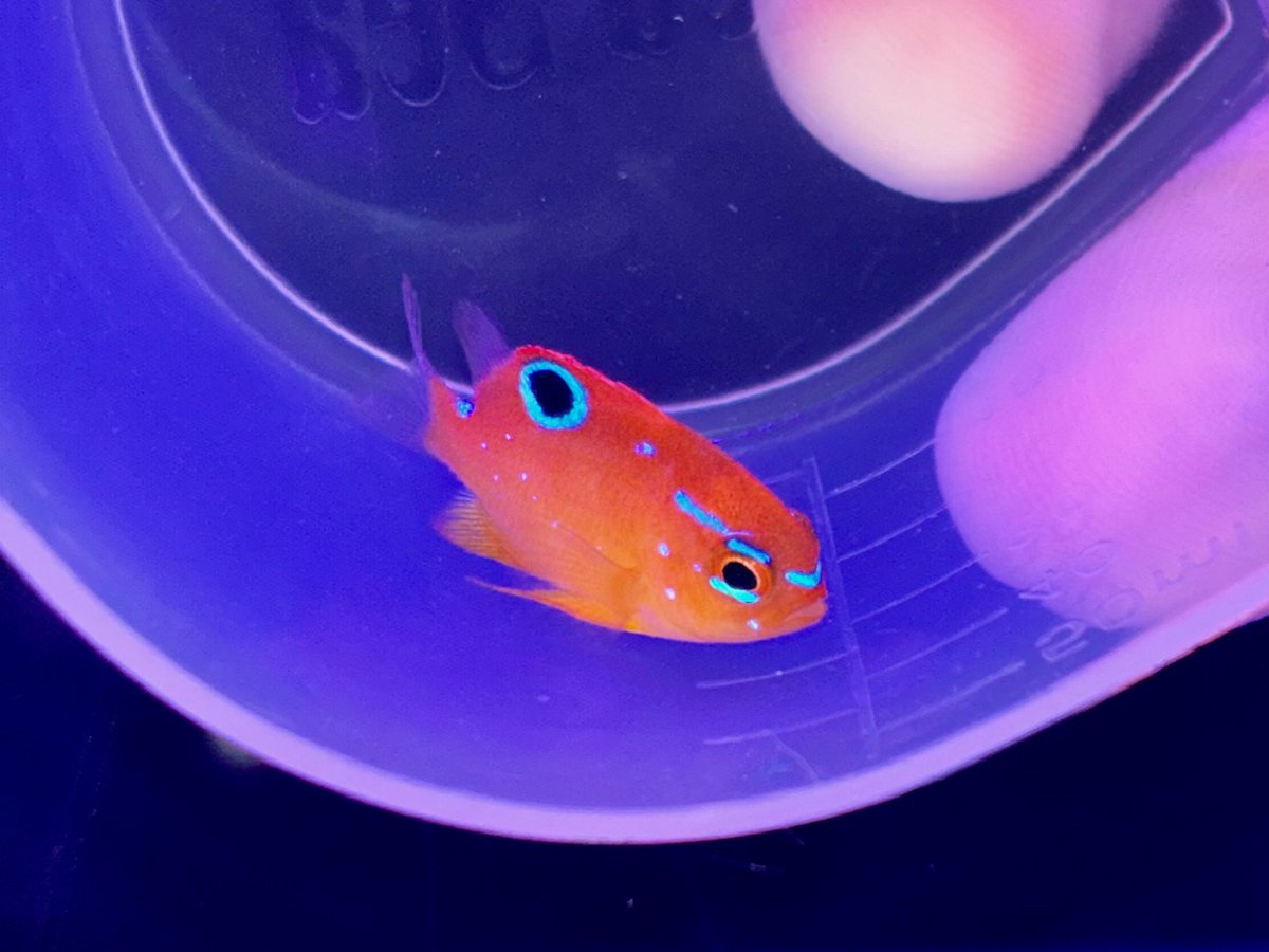 マリン@リミックスみなと店 tweet media