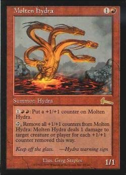 せるしぃ～ tweet media