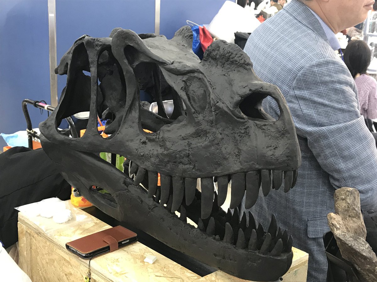 Taylor McCoy 🦖 tweet media