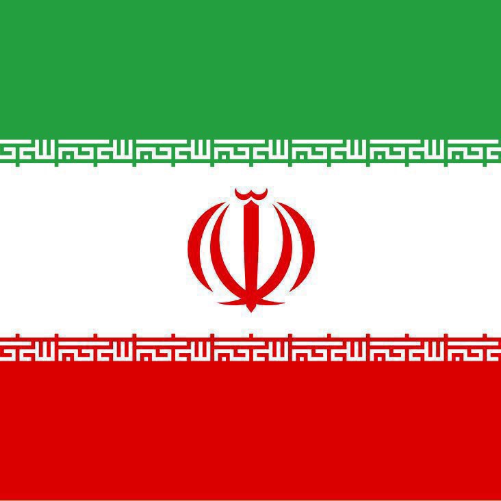 Whale Insider tweet media