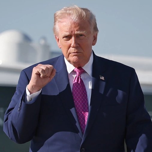 Whale Insider tweet media