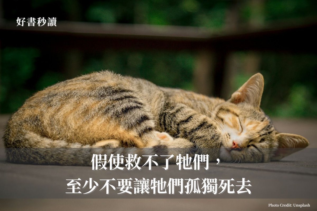 那一切我仍然歷歷在目：動物醫院急診室、整夜等待、我簽下的所有醫療帳單、某位友人借給我的錢、我在櫃台前的頻頻乞求—我告訴他們要花多少醫藥費都沒關係，任何需要的救治法去做就對了。我忘不了牠的貓毛在我臂彎中的觸感。然而，悲痛或許鈍化了我的記憶。