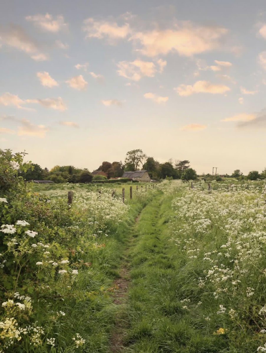WanderLens tweet media