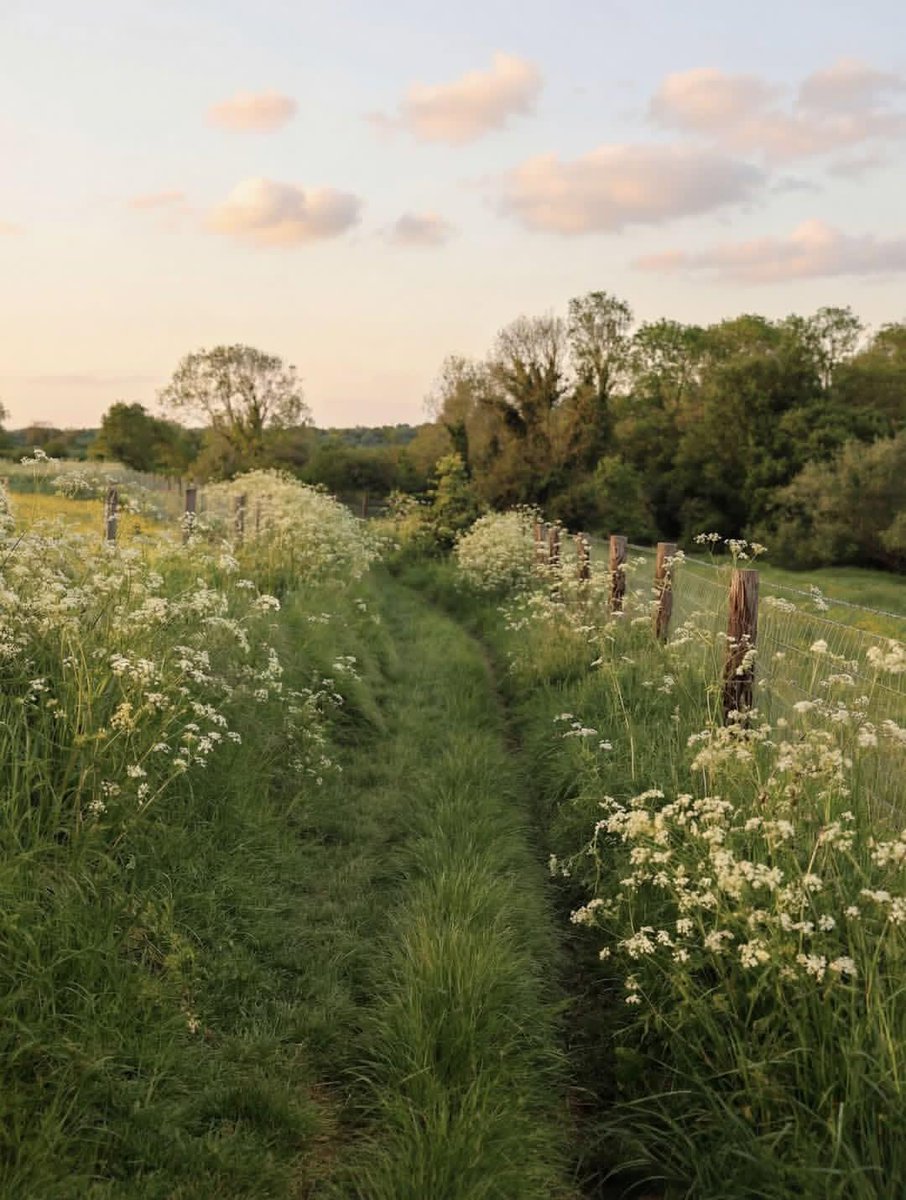 WanderLens tweet media