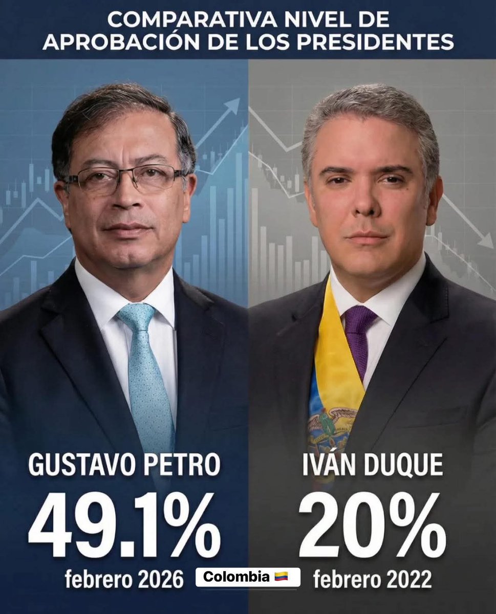 guido rubian bravo tweet media