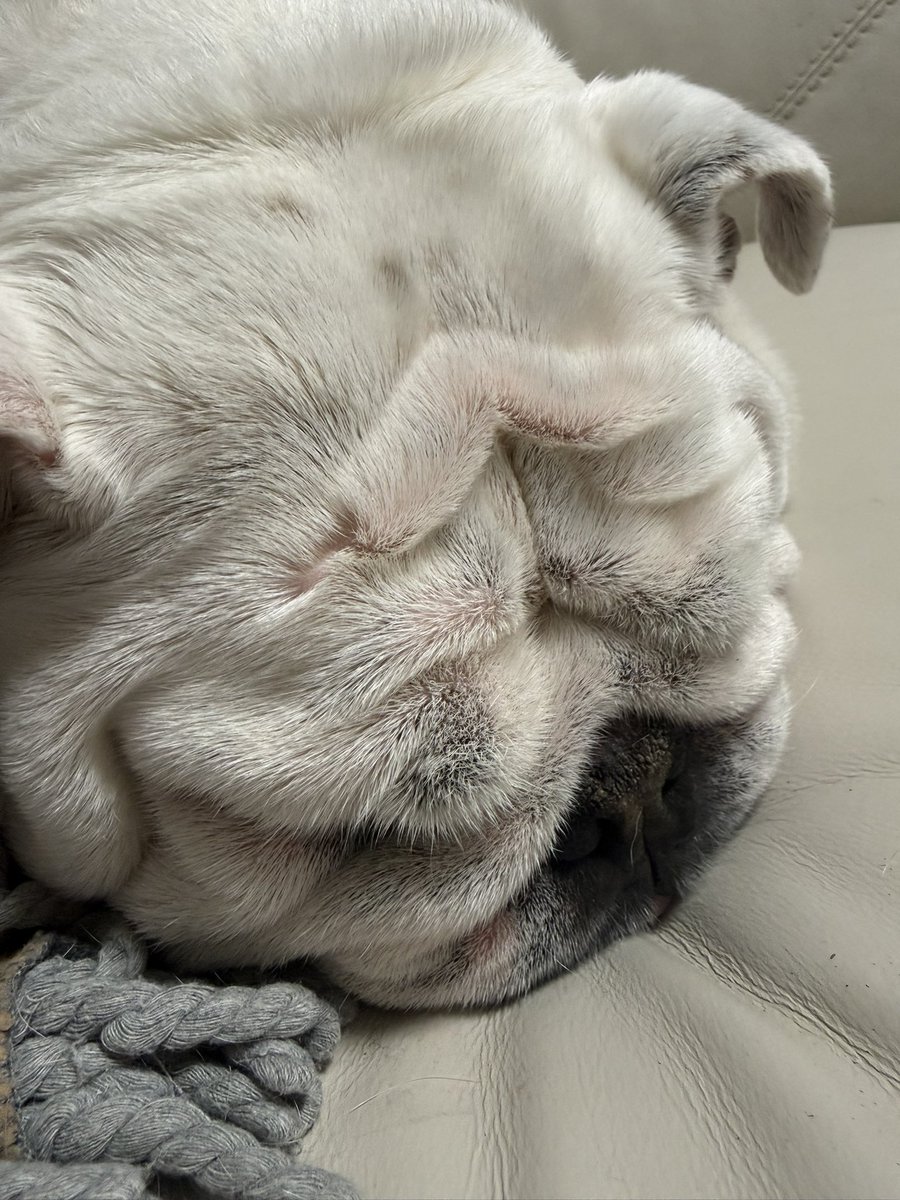 HEARTS 82 tweet media