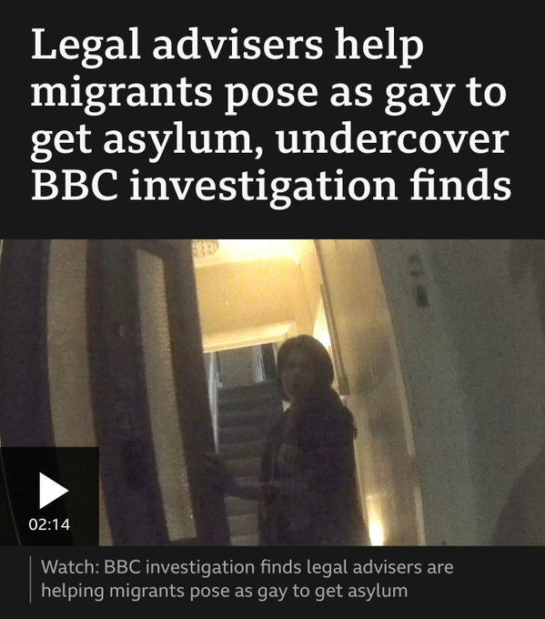 Katie Lam tweet media