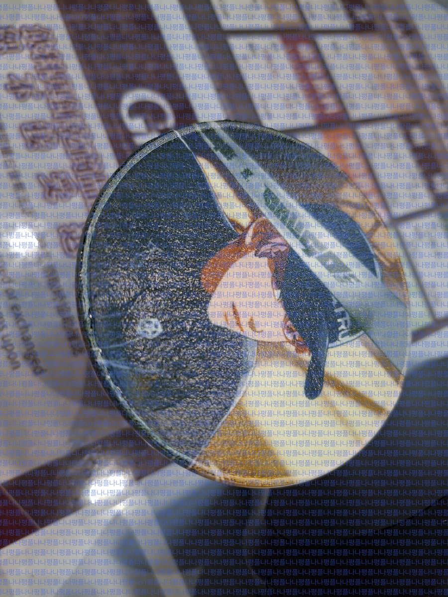 나나 평플 쿼카2 tweet media