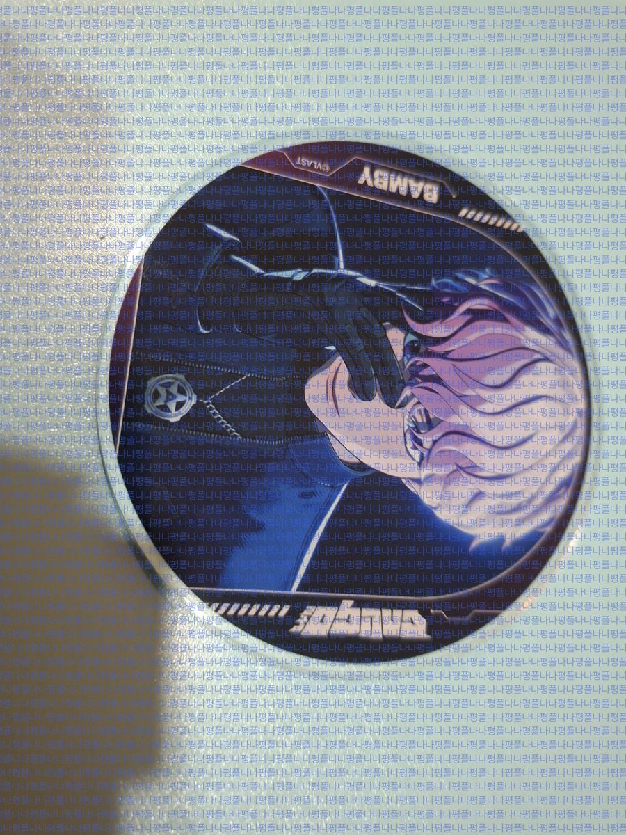 나나 평플 쿼카2 tweet media